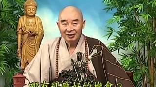 Tập 056 - (HQ) Kinh Đại Thừa Vô Lượng Thọ - Pháp sư Tịnh Không chủ giảng -  cẩn dịch cư sĩ Vọng Tây