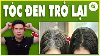 7 Ngày TÓC SẼ ĐEN MƯỢT TRỞ LẠI | Mách Bạn Mẹo Làm Tóc Đen Mượt | Cải Thiện TÓC BẠC VÀ RỤNG SỚM | TCL