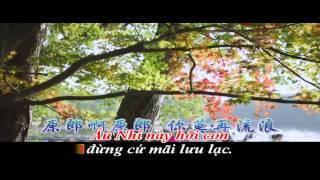 Du Tử ( Đứa Con Xa Xứ )