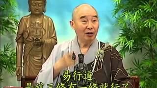 Tập 174 - (HQ) Kinh Đại Thừa Vô Lượng Thọ - Pháp sư Tịnh Không chủ giảng - cẩn dịch cư sĩ Vọng Tây