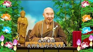 Kinh Đại Phương Quảng Phật Hoa Nghiêm, tập 0014