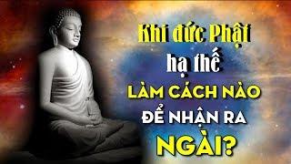 Khi đức Phật hạ thế, làm cách nào để nhận ra Ngài? - Tinh Hoa TV