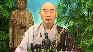 Tập 145 - (HQ) Kinh Đại Thừa Vô Lượng Thọ - Pháp sư Tịnh Không chủ giảng -  cẩn dịch cư sĩ Vọng Tây