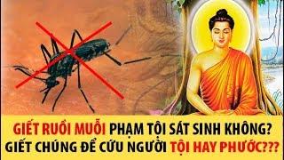 GIẾT RUỒI, MUỖI, GIÁN có phạm TỘI SÁT SANH không? nếu không giết chúng gây bệnh thì sao?