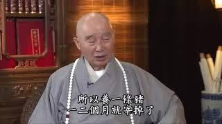 Nguồn Gốc của Tai Nạn và Bệnh Tật tập 1   4   Lão Hòa Thượng Tịnh Không