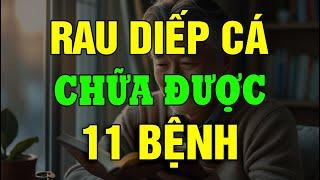 11 Lợi Ích Không Ngờ Của Rau Diếp Cá, Giúp Chữa 11 Bệnh Thường Gặp!
