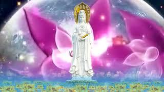 Chú Đại Bi | Mỗi ngày Trì Tụng