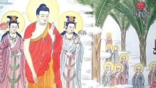 Nhạc Niệm Phật 4 Chữ (A Di Đà Phật) (Rất Hay) - Đạo Tràng Phước Ngọc