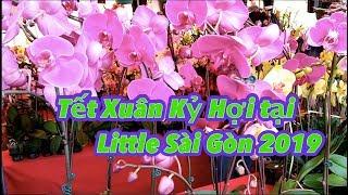 [Cuộc sống ở Mỹ] - Chợ Hoa Tết Kỷ Hợi ở Phước Lộc Thọ 2019 (Lunar New Year 2019) - [Tập #194]