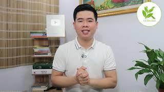 Bệnh THIẾU MÁU NÃO Chữa Dứt Điểm Được Không | Thử Bấm Vào Chỗ Này | TCL