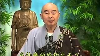Tập 166 - (HQ) Kinh Đại Thừa Vô Lượng Thọ - Pháp sư Tịnh Không chủ giảng - cẩn dịch cư sĩ Vọng Tây