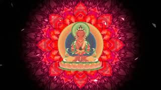 Đức Phật Vô Lượng Thọ (mật tông ) ☆ Amitayus Buddha Long mantra ☆