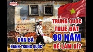 Nhạc Chế | GIẶC ĐẾN NHÀ ĐÀN BÀ CŨNG ĐÁNH | TQ Thuê Đất 99 Năm Để Làm Gì?