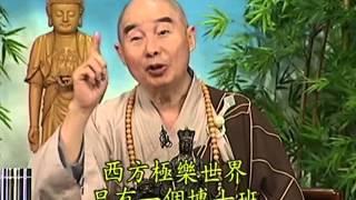 Tập 105 - (HQ) Kinh Đại Thừa Vô Lượng Thọ - Pháp sư Tịnh Không chủ giảng -  cẩn dịch cư sĩ Vọng Tây