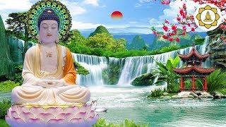 Giàu Sang Sinh Đẹp Hạnh Phúc Nhiều Đời Nhờ Biết Được Điều Này -  Lời Phật Dạy Rất Hay