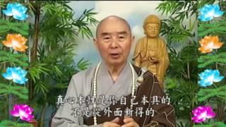 Kinh Đại Phương Quảng Phật Hoa Nghiêm, tập 0216