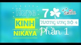 KINH TƯƠNG ƯNG BỘ 4 Phần 1 (Kinh Nguyên Thuỷ) (Nikaya 1080HD)