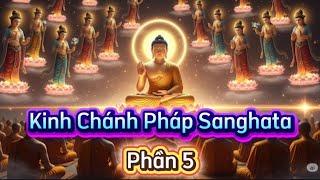 5/7 : Kinh Chánh Pháp Sanghata | A Di Đà Phật .