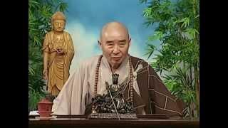Tập 055 - (HQ) Kinh Đại Thừa Vô Lượng Thọ - Pháp sư Tịnh Không chủ giảng -  cẩn dịch cư sĩ Vọng Tây
