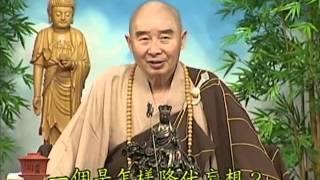 Tập 044 - (HQ) Kinh Đại Thừa Vô Lượng Thọ  Pháp sư Tịnh Không chủ giảng -  cẩn dịch cư sĩ Vọng Tây