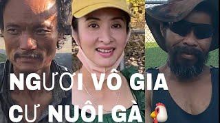 CAO BỒI GỐC VIỆT VÔ GIA CƯ Ở MỸ NUÔI GÀ KIẾM SỐNG QUA NGÀY