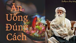 4 Lời khuyên Cho Việc Ăn Uống Đúng Cách
