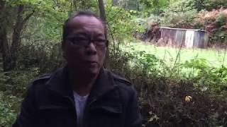 HIỆN TÌNH ĐẤT NƯỚC/ 26/10/19 ...  THÁI BÌNH DƯƠNG DẬY SÓNG BA ĐÀO