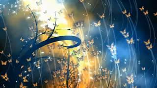 Việt Nam Thất Sơn Thánh Địa